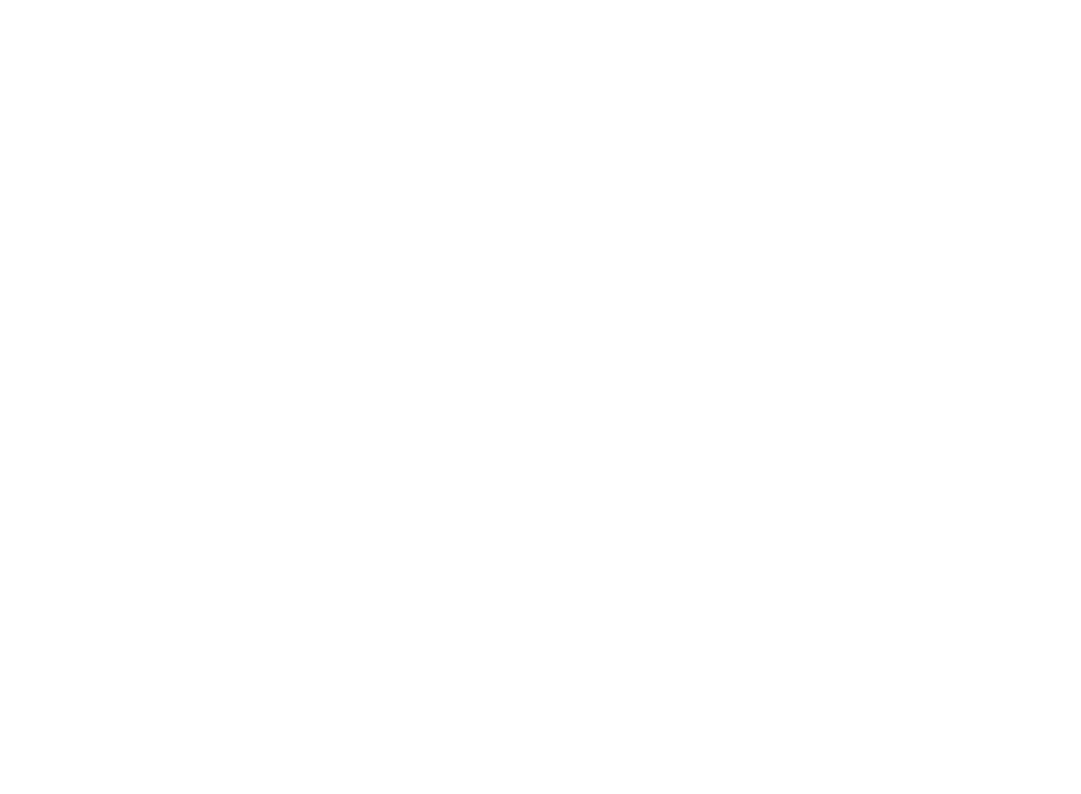 Der Pizza-Dealer